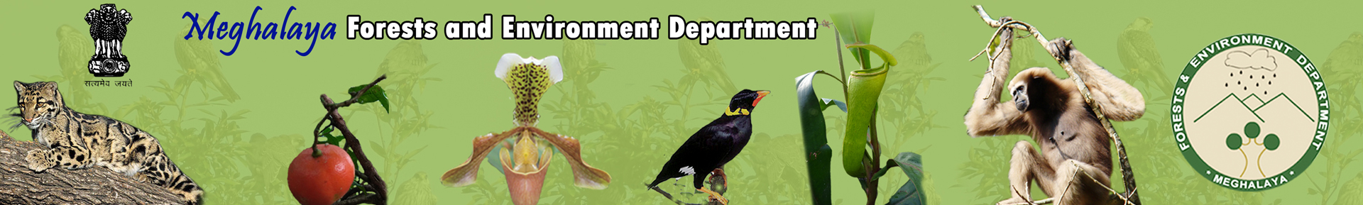 Forests & Environment Department Banner