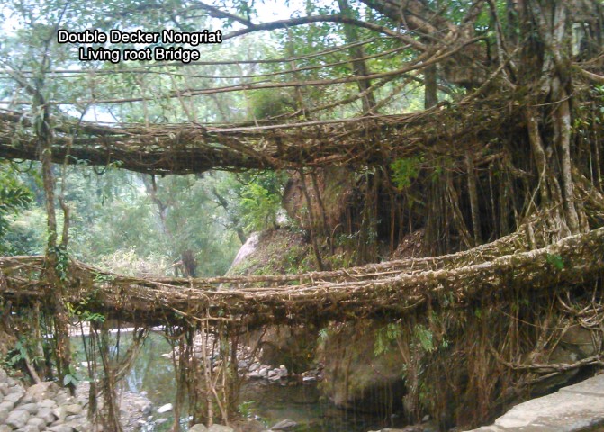 Double Decker Nongriat Living root Bridge